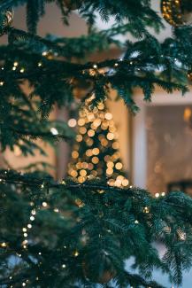 Christmas tree with string lights by Mourad Saadi courtesy of Unsplash.