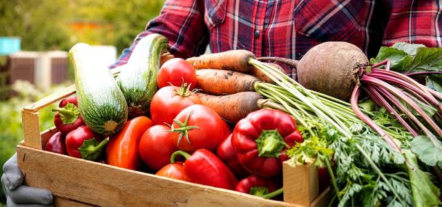 A crate overflowing with a harvest of vegetables.